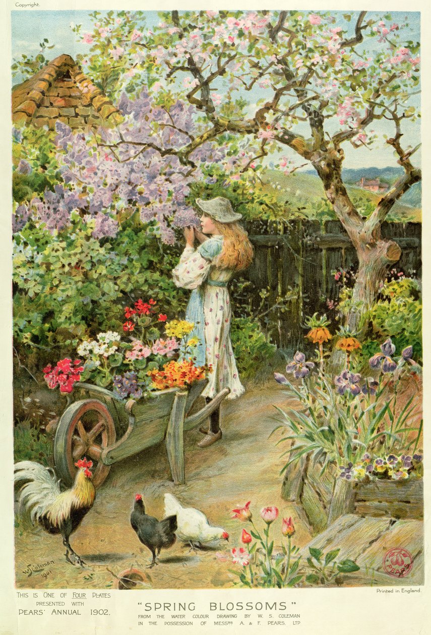 Fiori di primavera, dal Pears Annual, 1902 da William Stephen Coleman