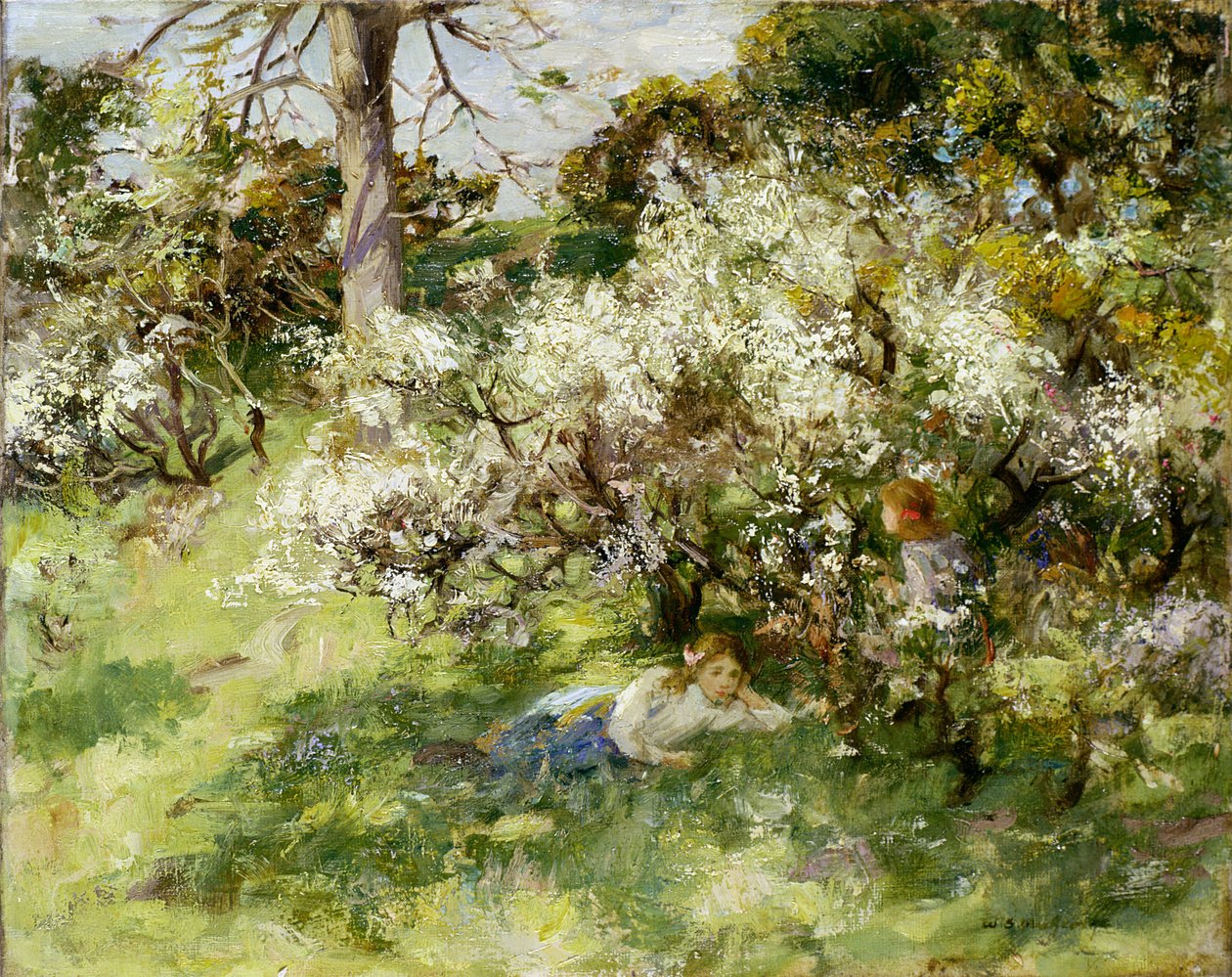 Fioritura di prugnolo da William Stewart MacGeorge