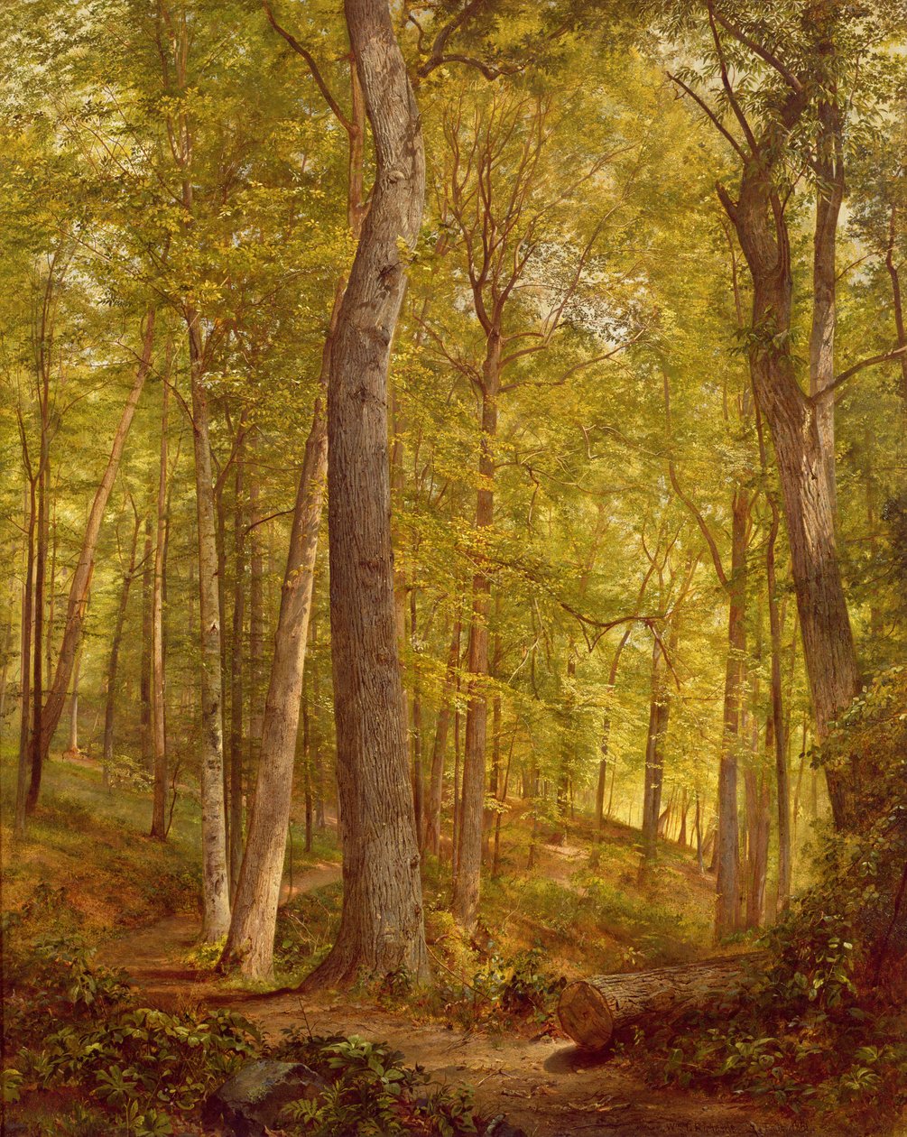 Boschi di giugno, Pennsylvania, 1864 da William Trost Richards