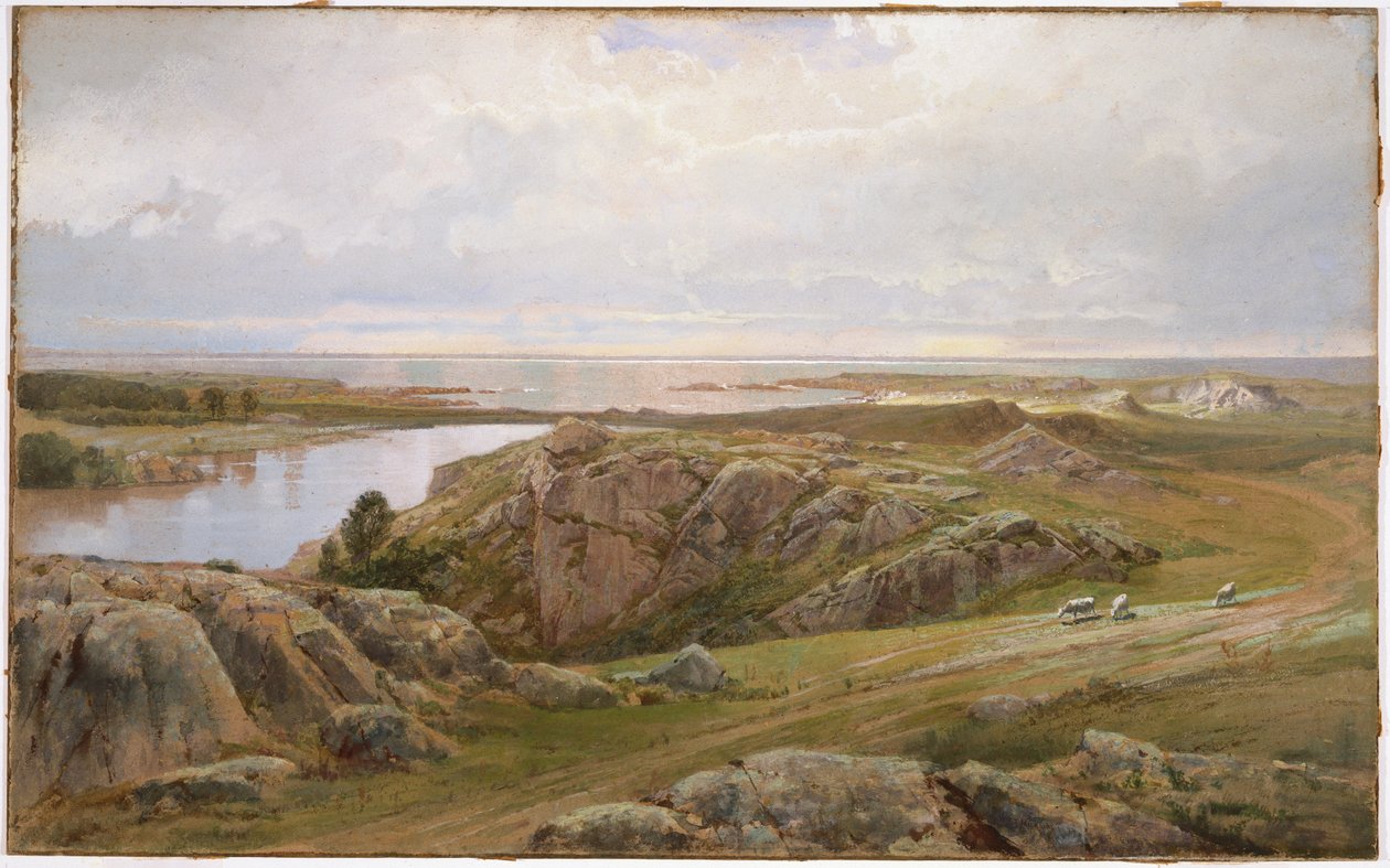 Stagno di gigli, Newport, 1877 da William Trost Richards