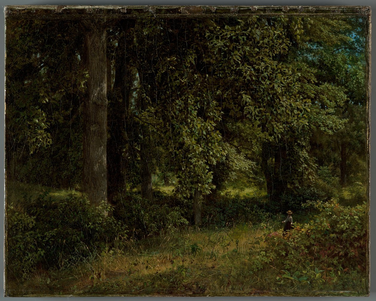Alberi di tulipano, 1859 da William Trost Richards