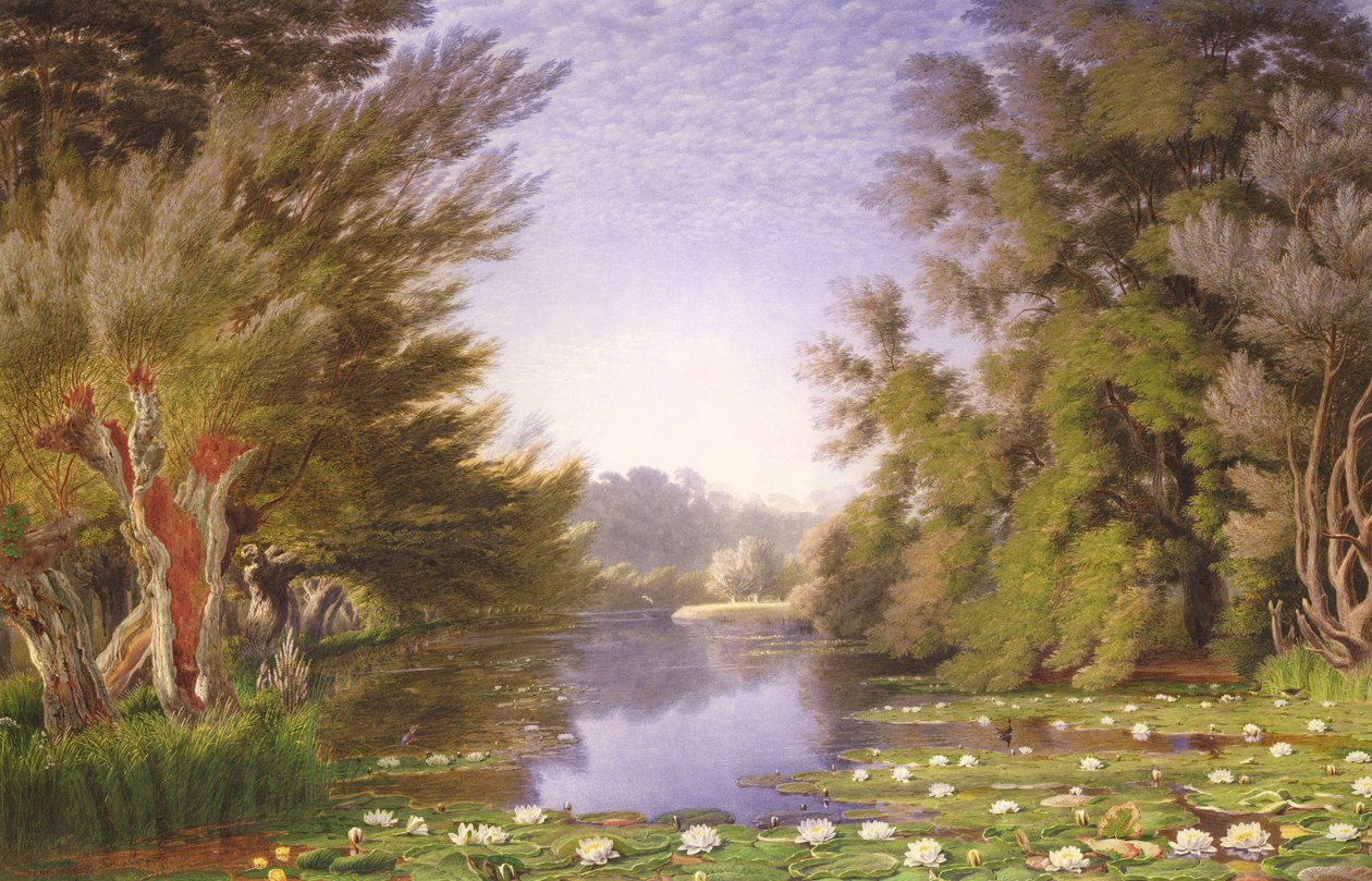 Ninfee sul Cherwell da Joseph Mallord William Turner