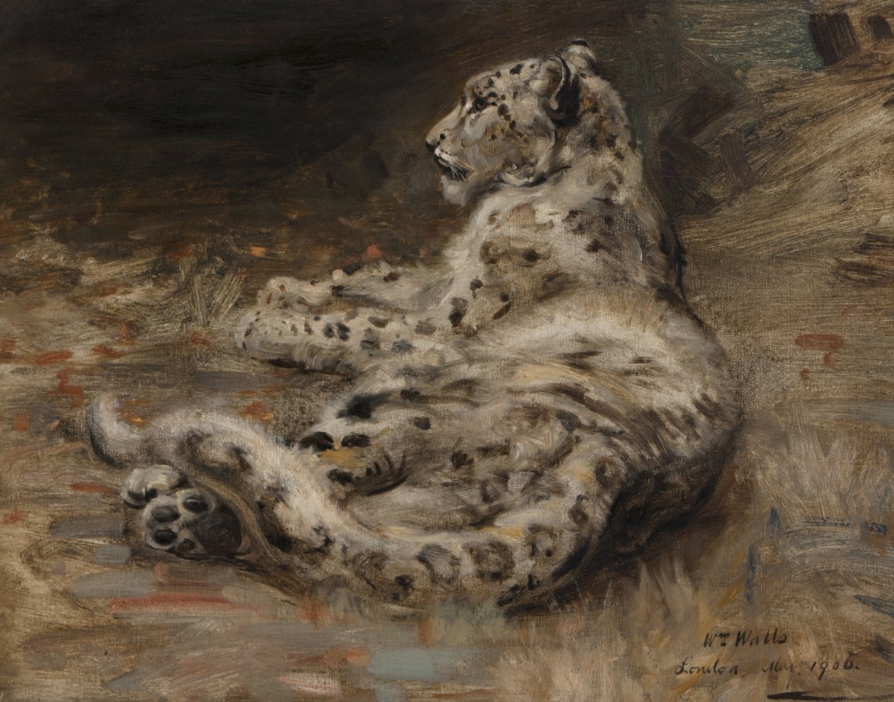 Un leopardo, 1906 da William Walls