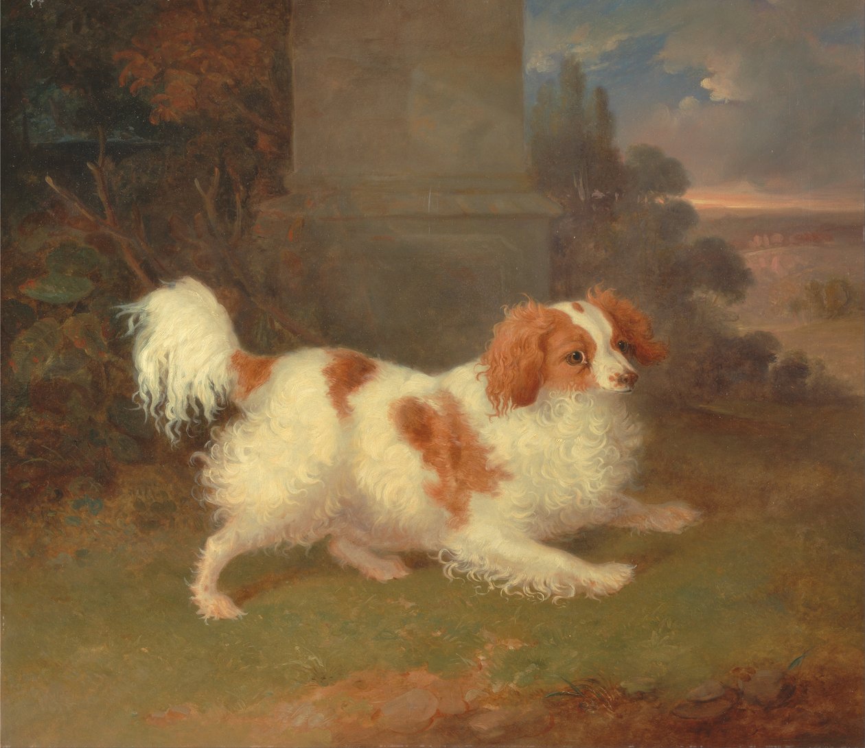 Un Blenheim Spaniel da William Webb