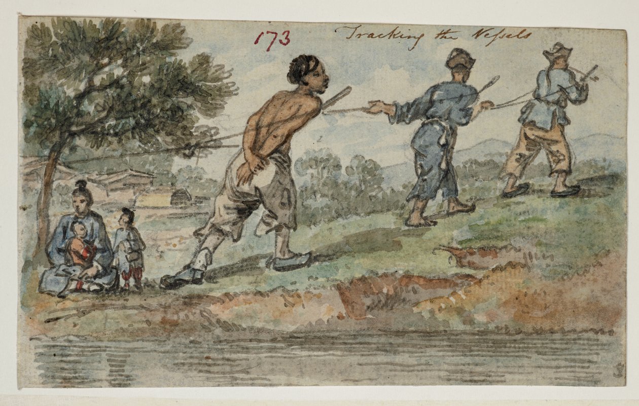 WD 961 f.173 da William Alexander