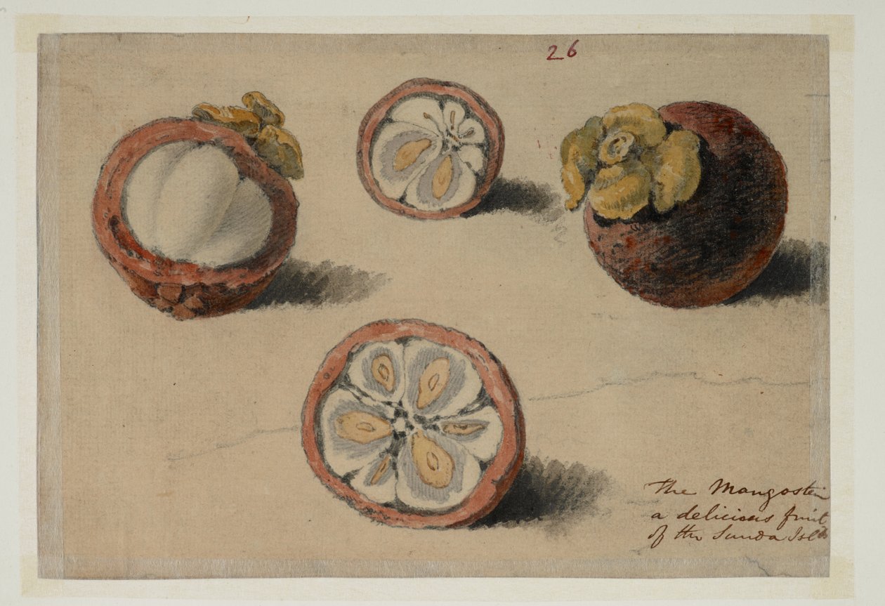 WD 961 f.26 da William Alexander