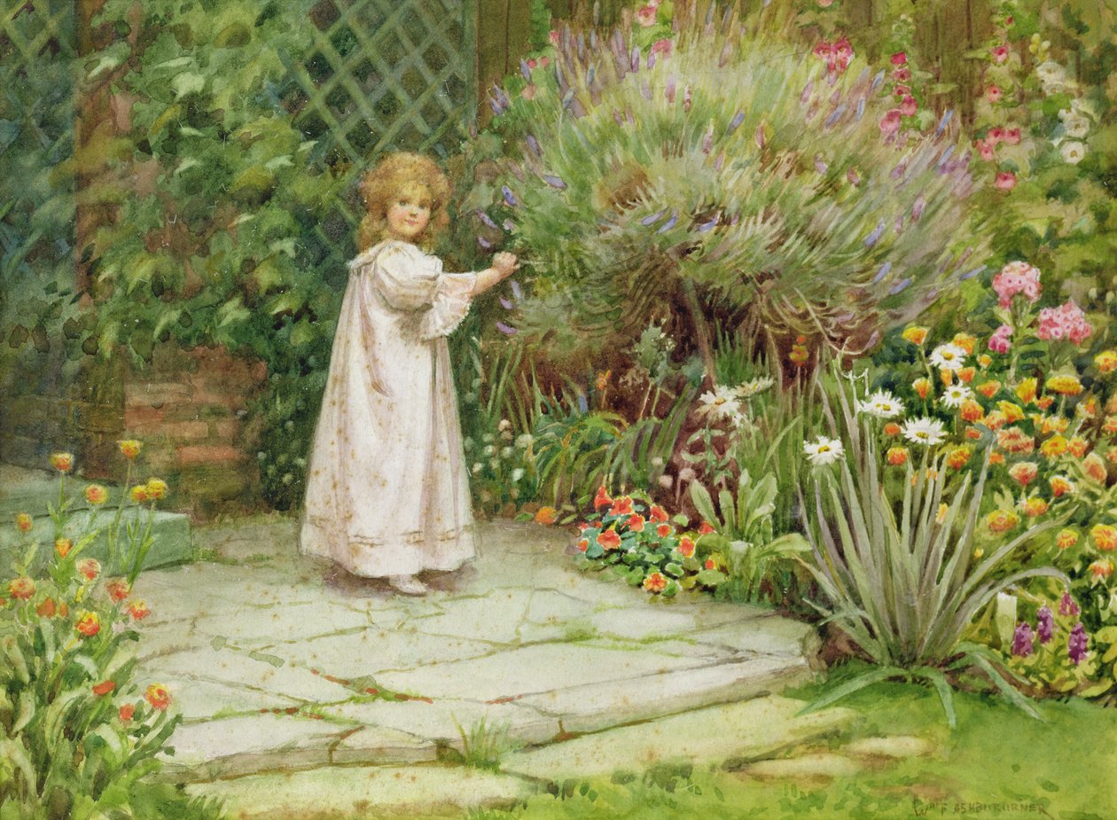 Il mio giardino da William Ashburner