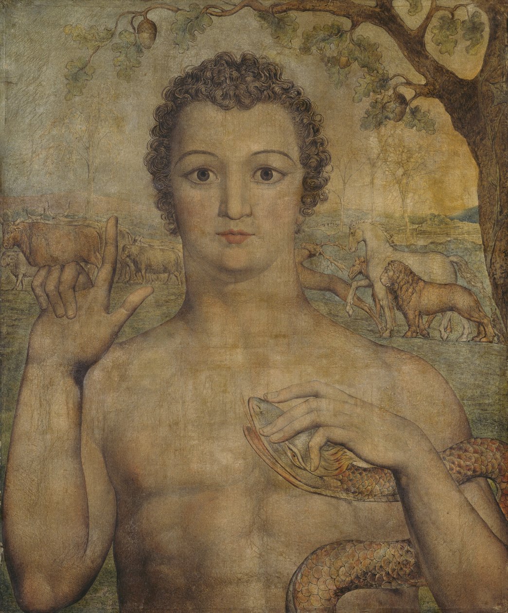 Adamo che nomina le bestie da William Blake