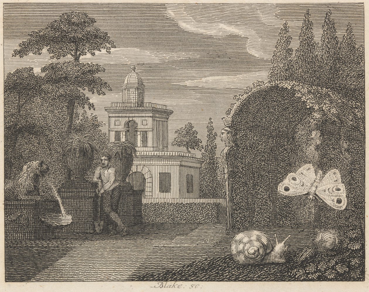 La farfalla e la lumaca da William Blake