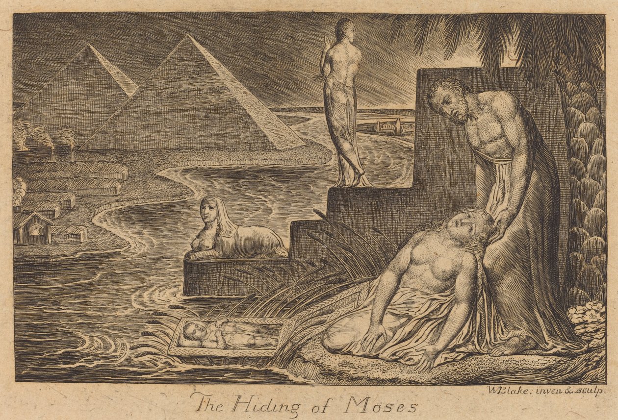 Il Nascondiglio di Mosè da William Blake