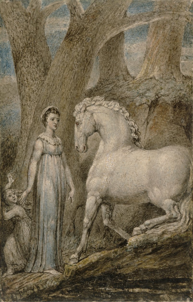 Il cavallo da William Blake