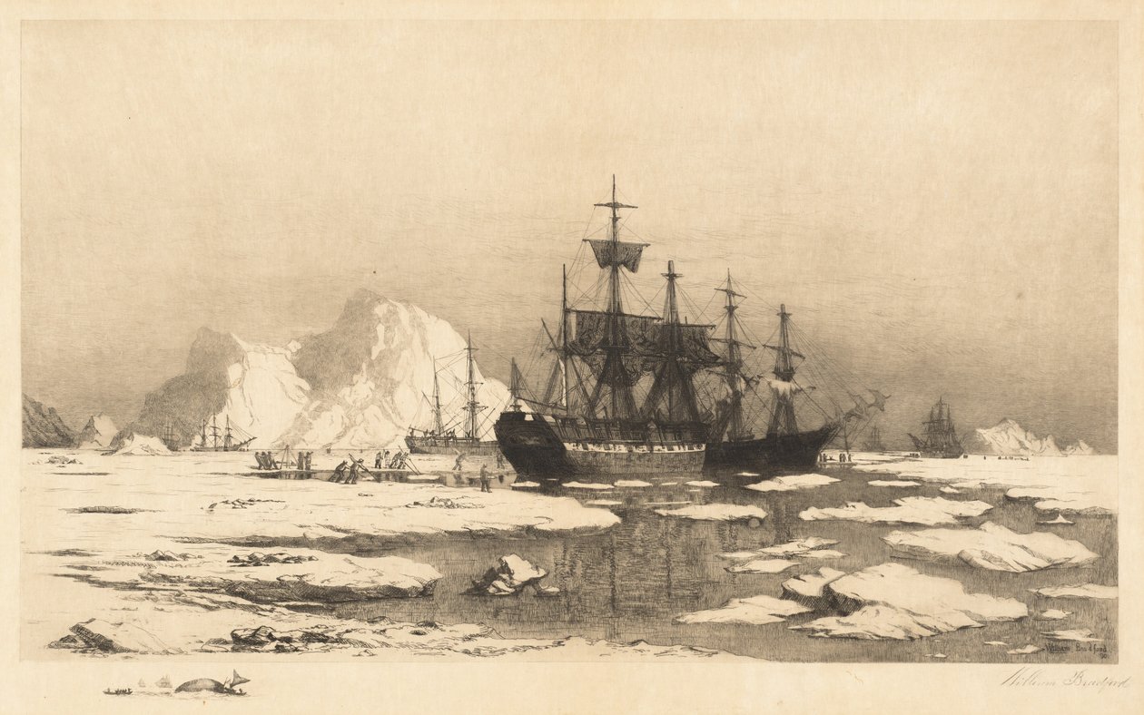 Tra i ghiacci da William Bradford