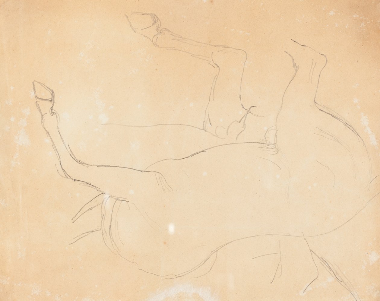 Studio di un cavallo da William Etty