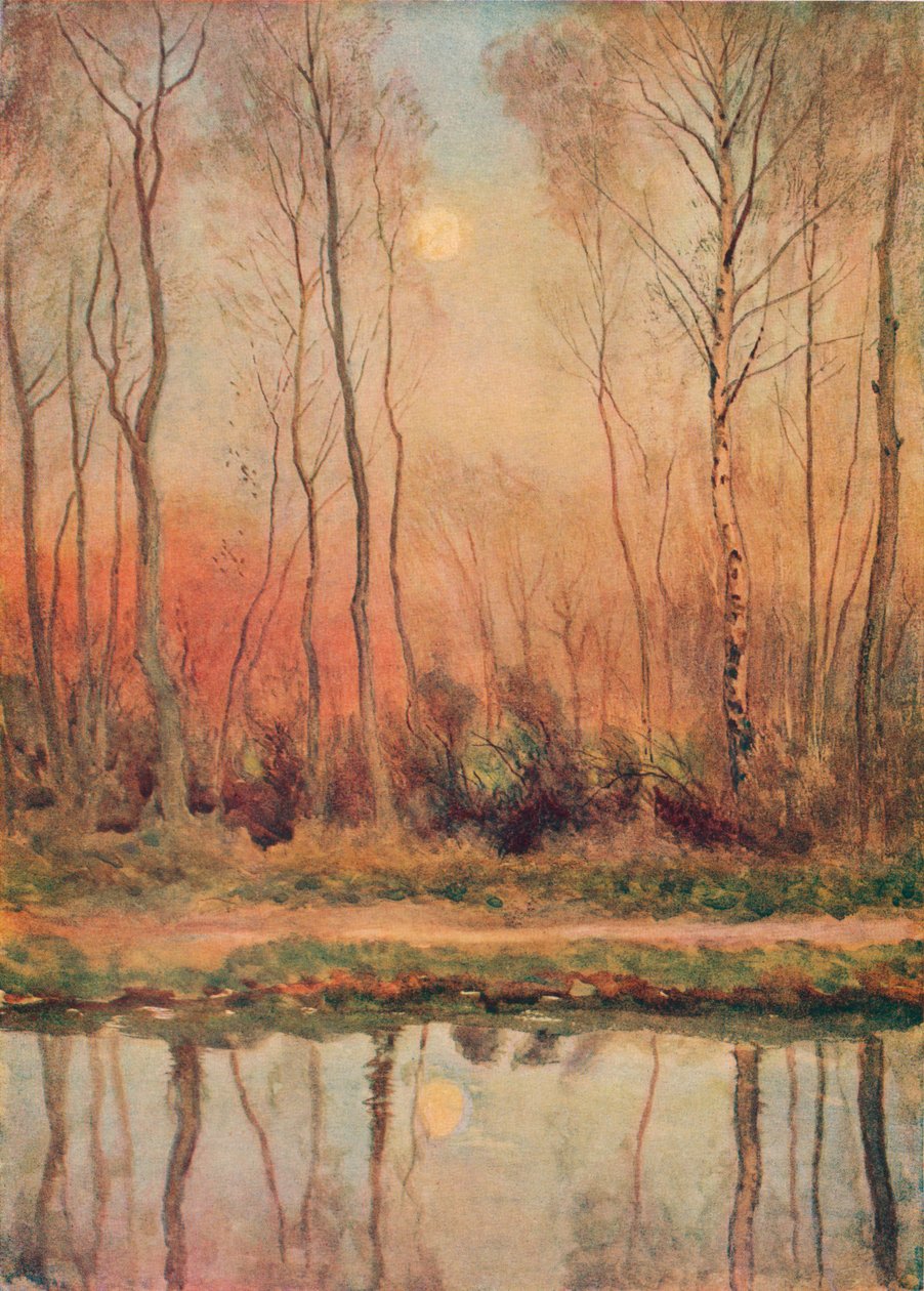 Un Canale del Surrey, Sera, c. 1893 da William Eyre Walker