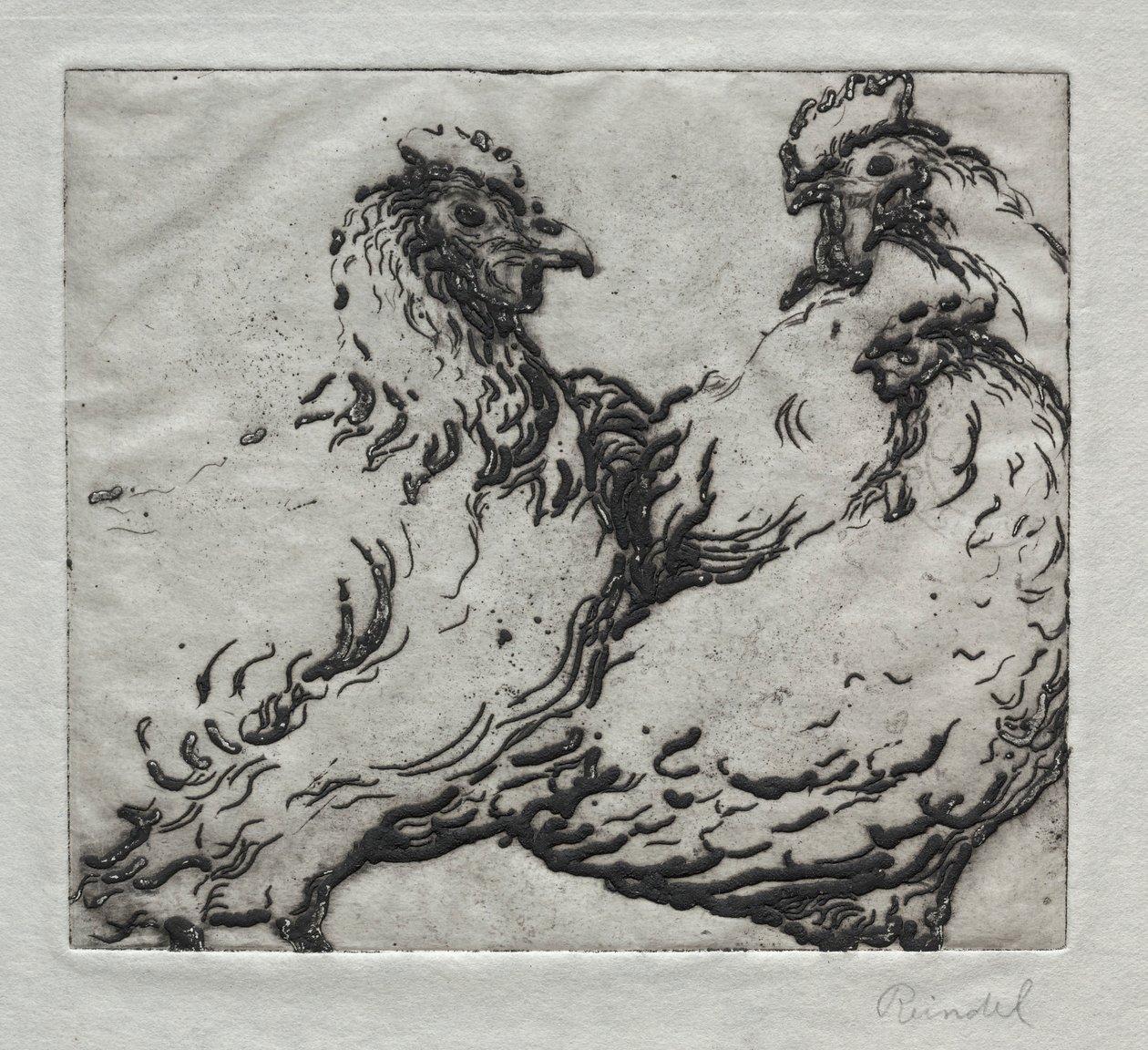 Polli da William George Reindel