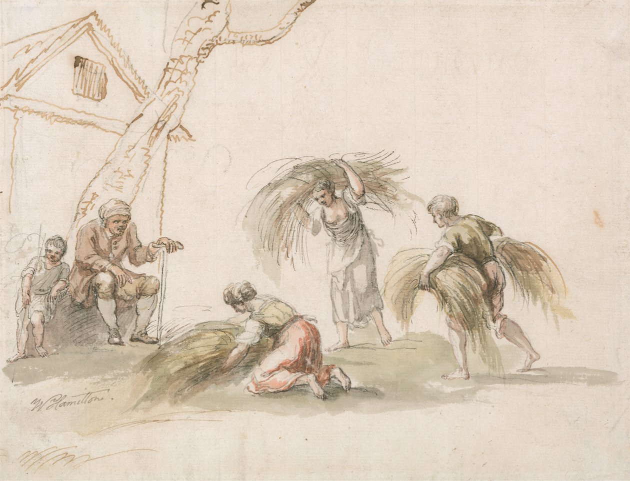 Figure che Raccolgono da William Hamilton