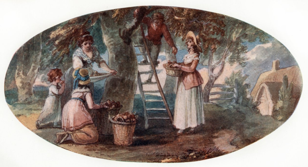 Raccolta di frutta da William Hamilton
