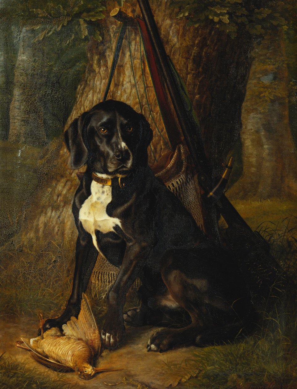Un cane da caccia con un beccaccino da William Hammer