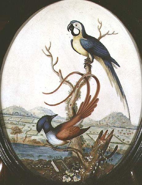 Uccello Lira e Ghiandaia da William Hayes
