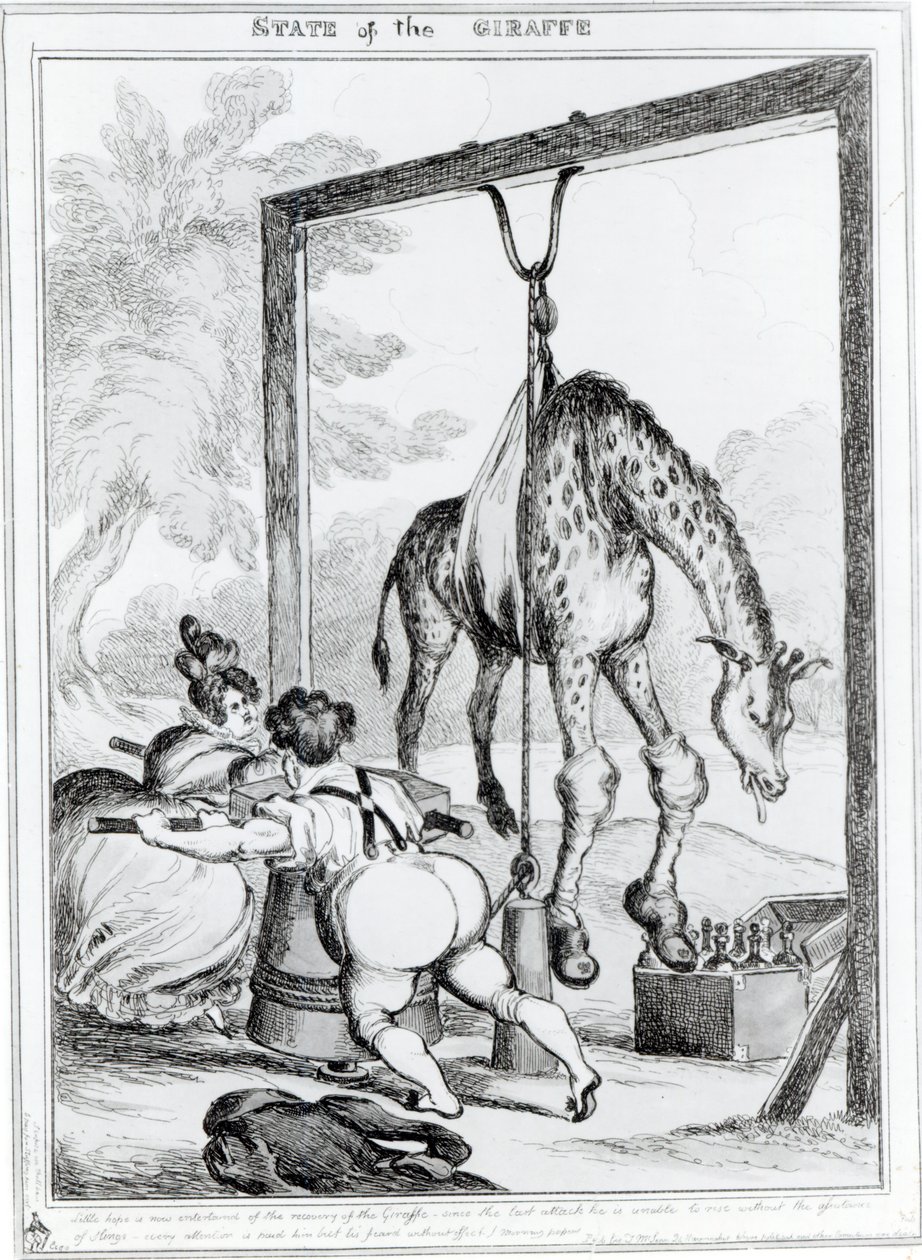 Stato della giraffa, 1829 da William Heath