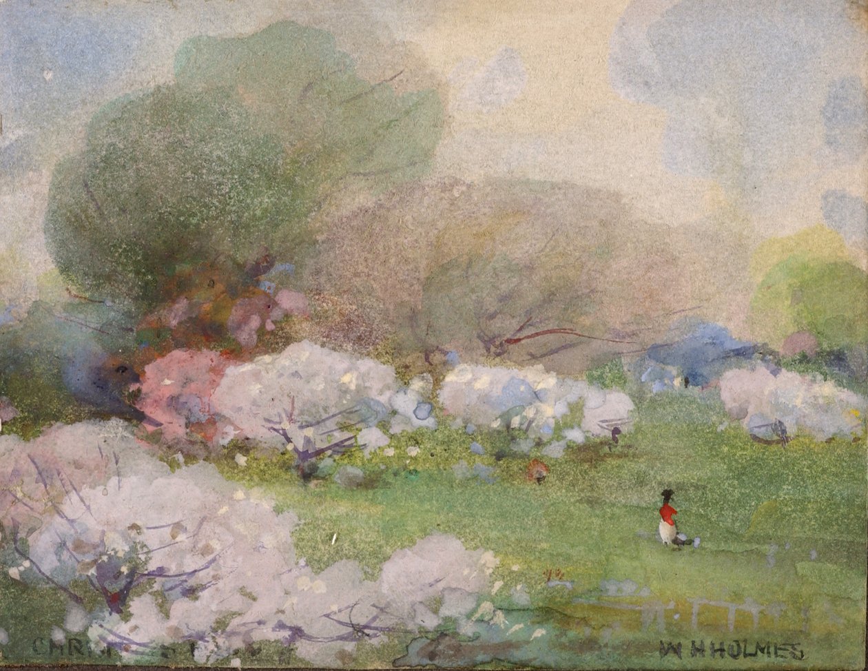 Fiori di ciliegio da William Henry Holmes
