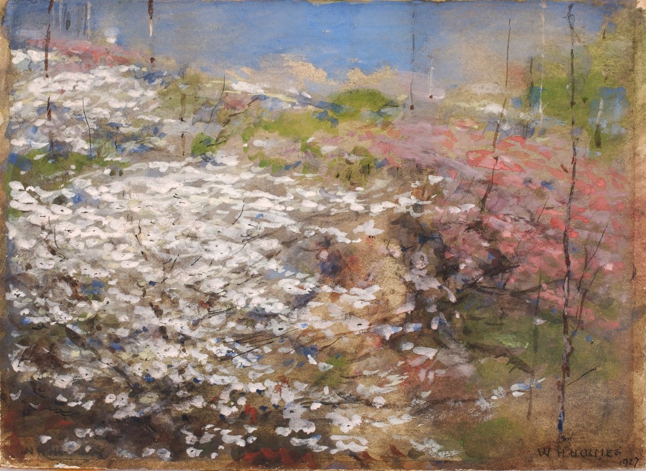 Campo di fiori da William Henry Holmes
