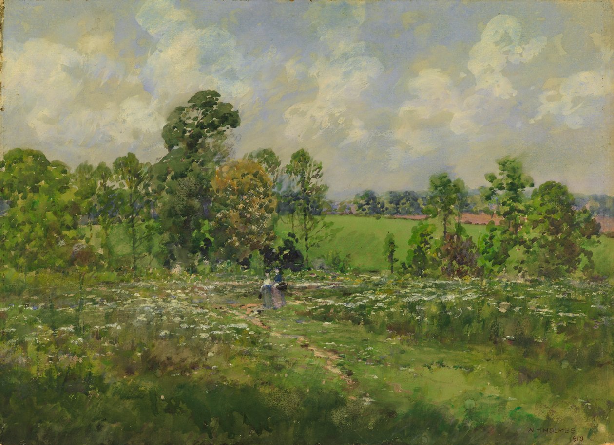Prato fiorito da William Henry Holmes