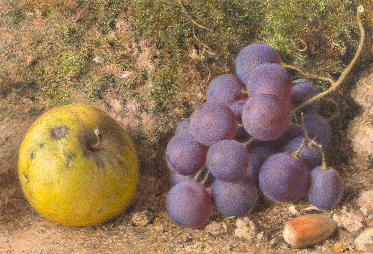 Mela, uva e una nocciola da William Henry Hunt