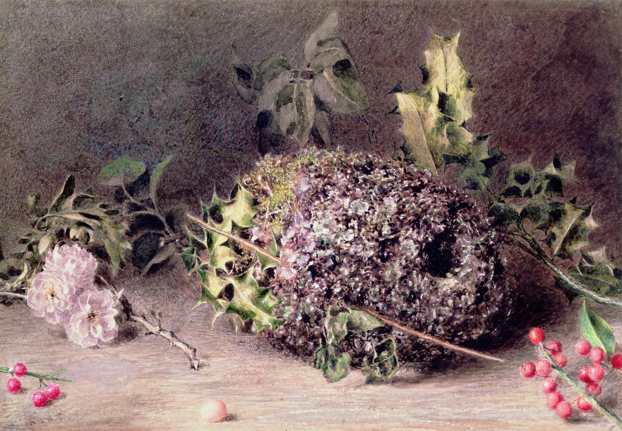 Nido di cince codalunga da William Henry Hunt