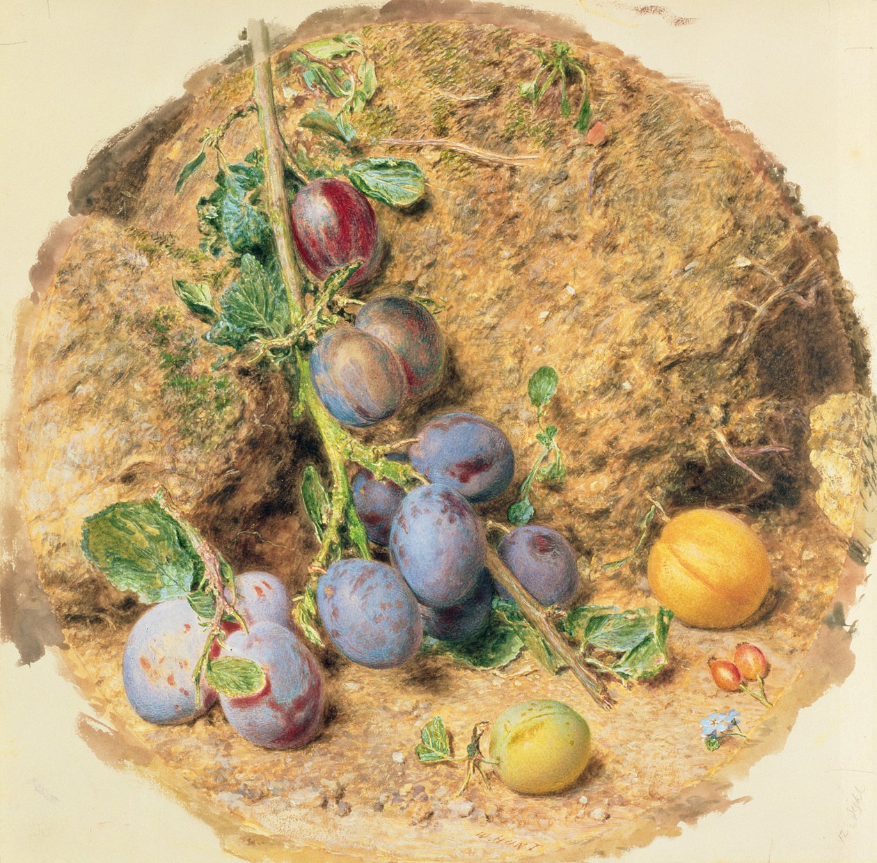 Prugne da William Henry Hunt