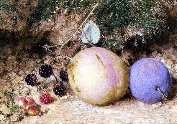 Cinorrodi, more e prugne da William Henry Hunt
