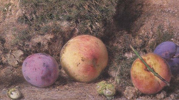Natura morta da William Henry Hunt