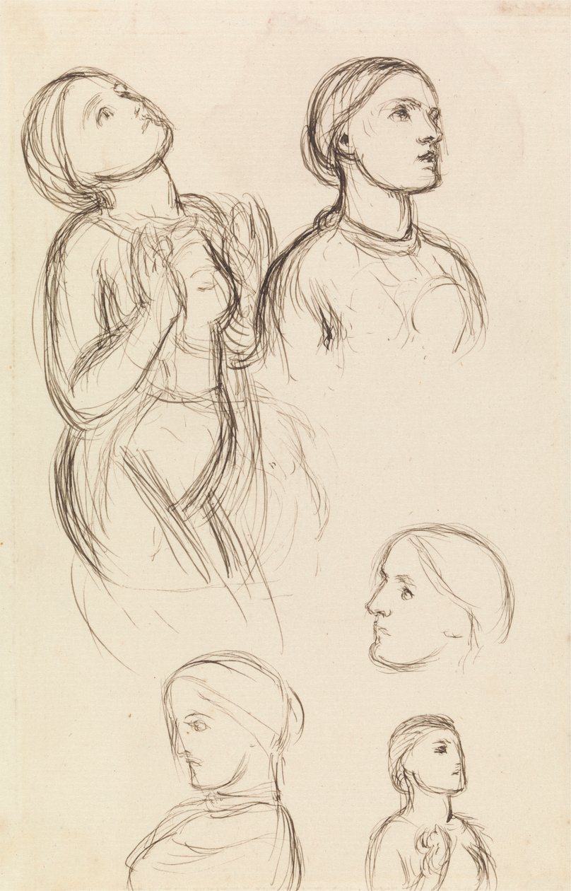 Studi di Edith Holman Hunt da William Holman Hunt