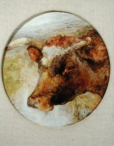 Testa di una mucca Longhorn da William Huggins