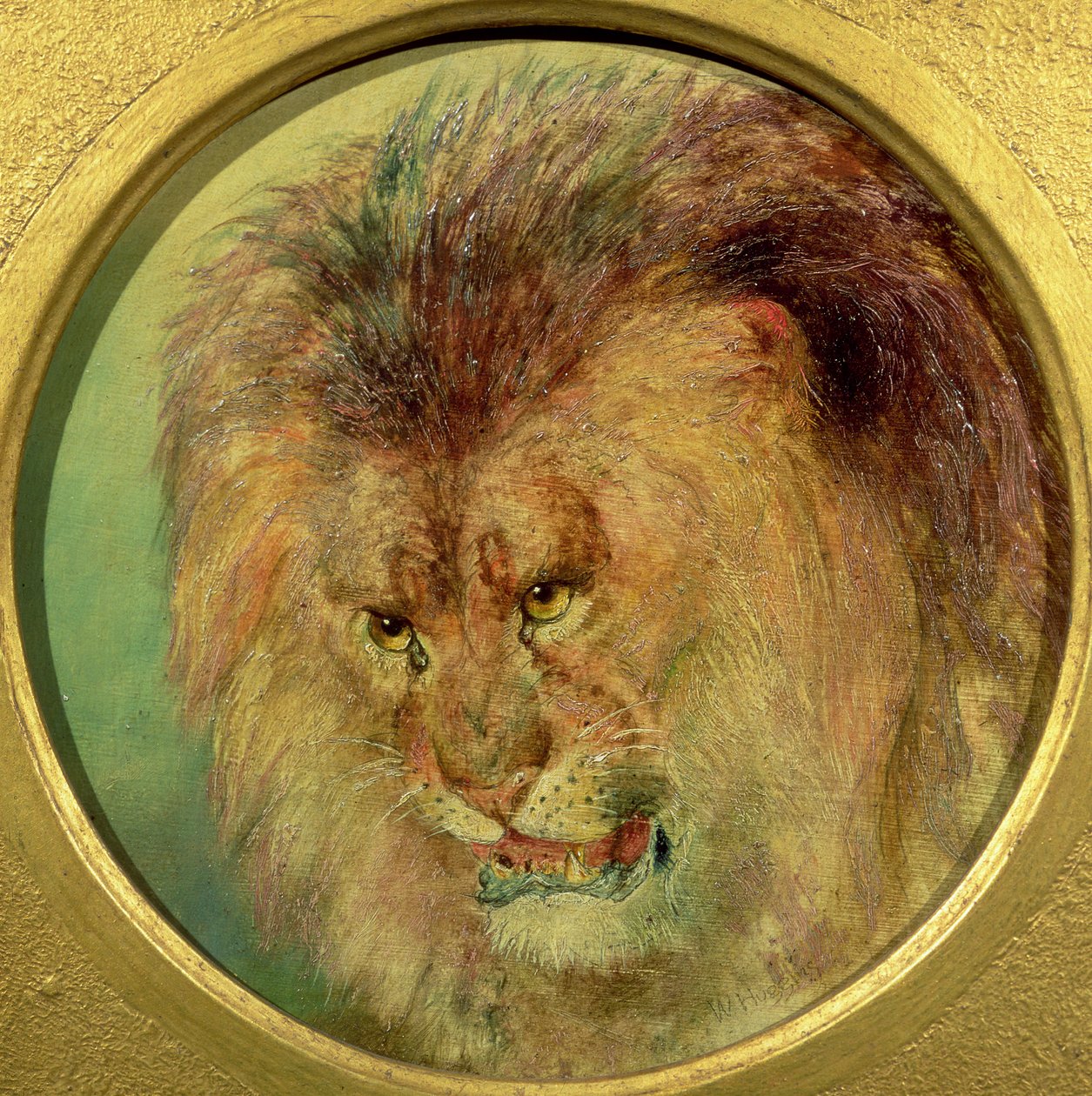 Studio di un leone da William Huggins