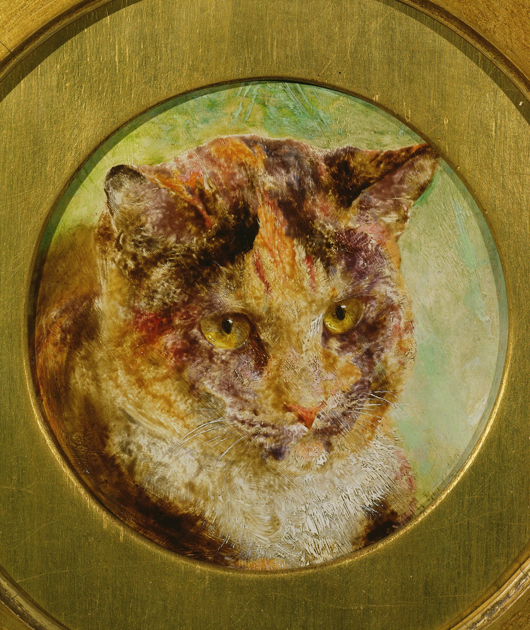 Studio di un gatto tartarugato da William Huggins