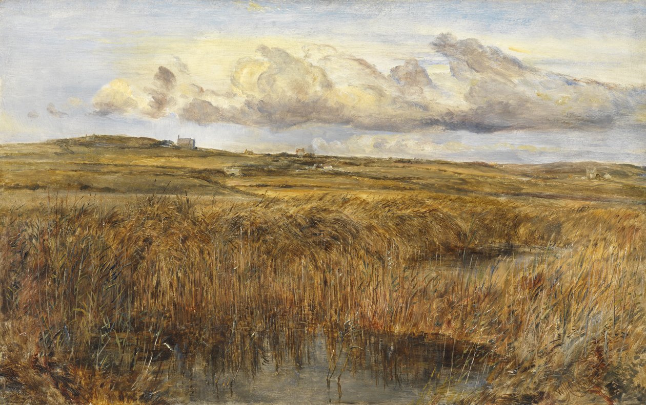 Rhoscolyn, Anglesey da William Joseph J.C. Bond