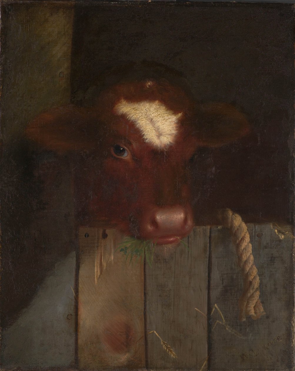 La mucca di famiglia da William Merritt (after) Chase