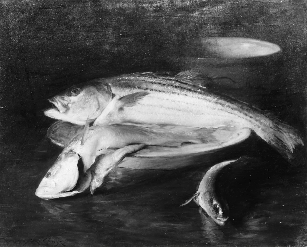 Pesce da William Merritt Chase