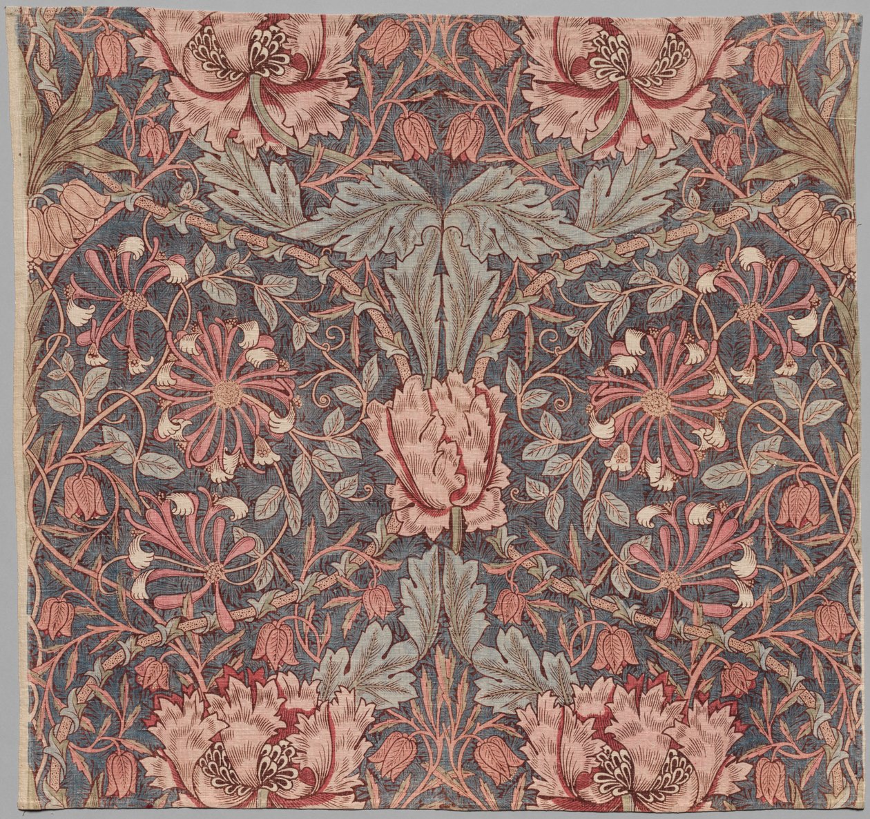 Caprifoglio, Inizio del XX secolo da William Morris