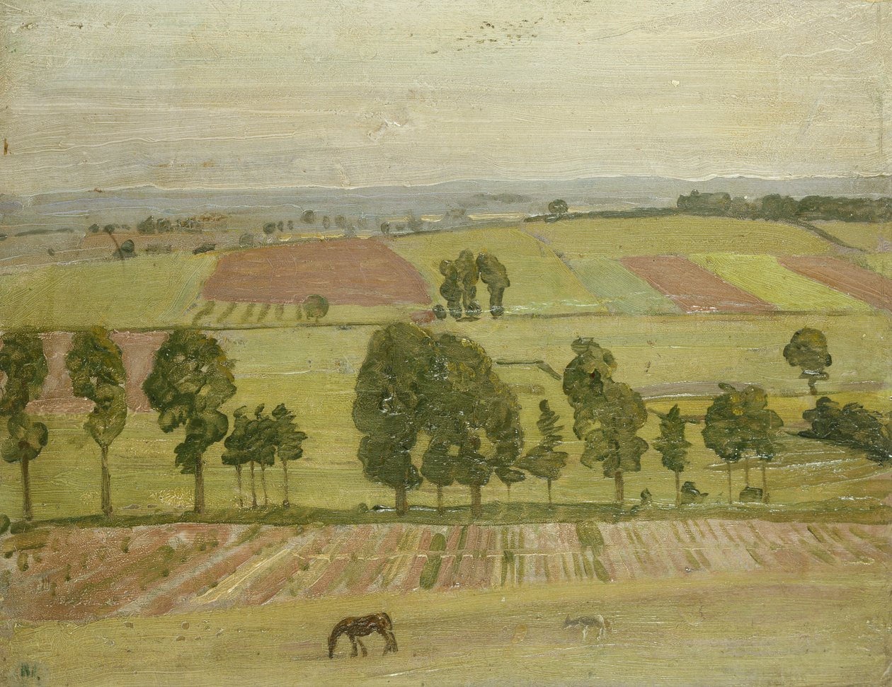 Pianura di Glastonbury da William Nicholson