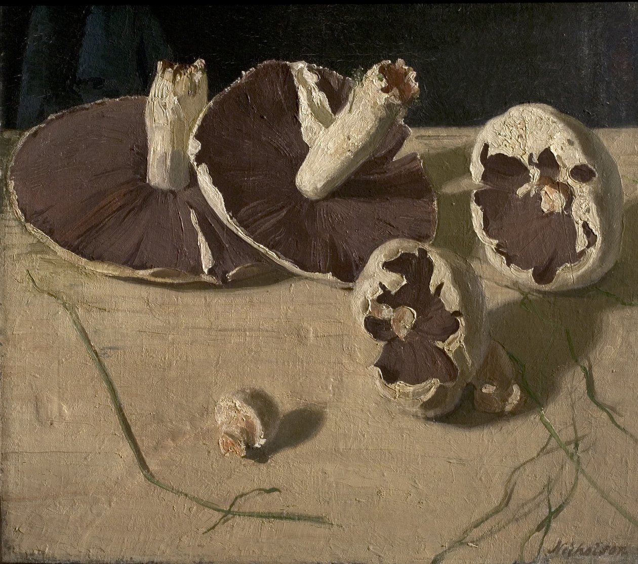 Funghi da William Nicholson
