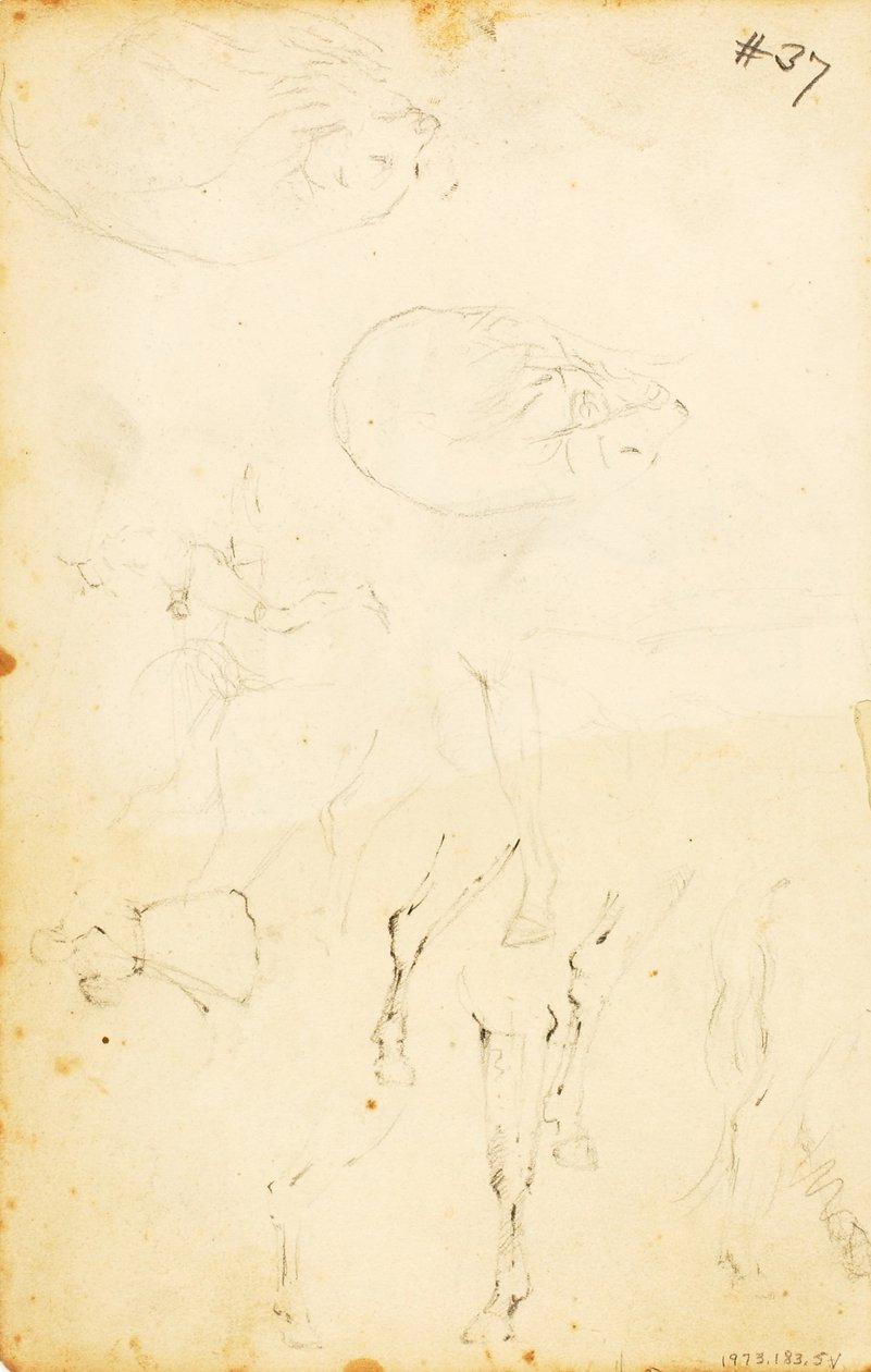 (Studi - figure, tronco, cavallo e cavaliere, ecc.) da William Page
