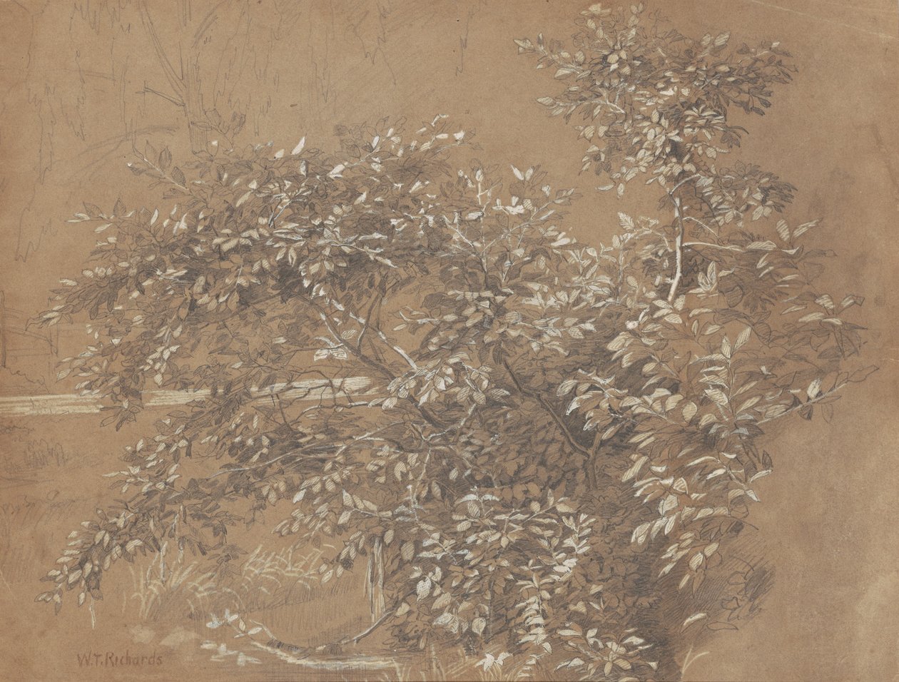 Fogliame da William Trost Richards