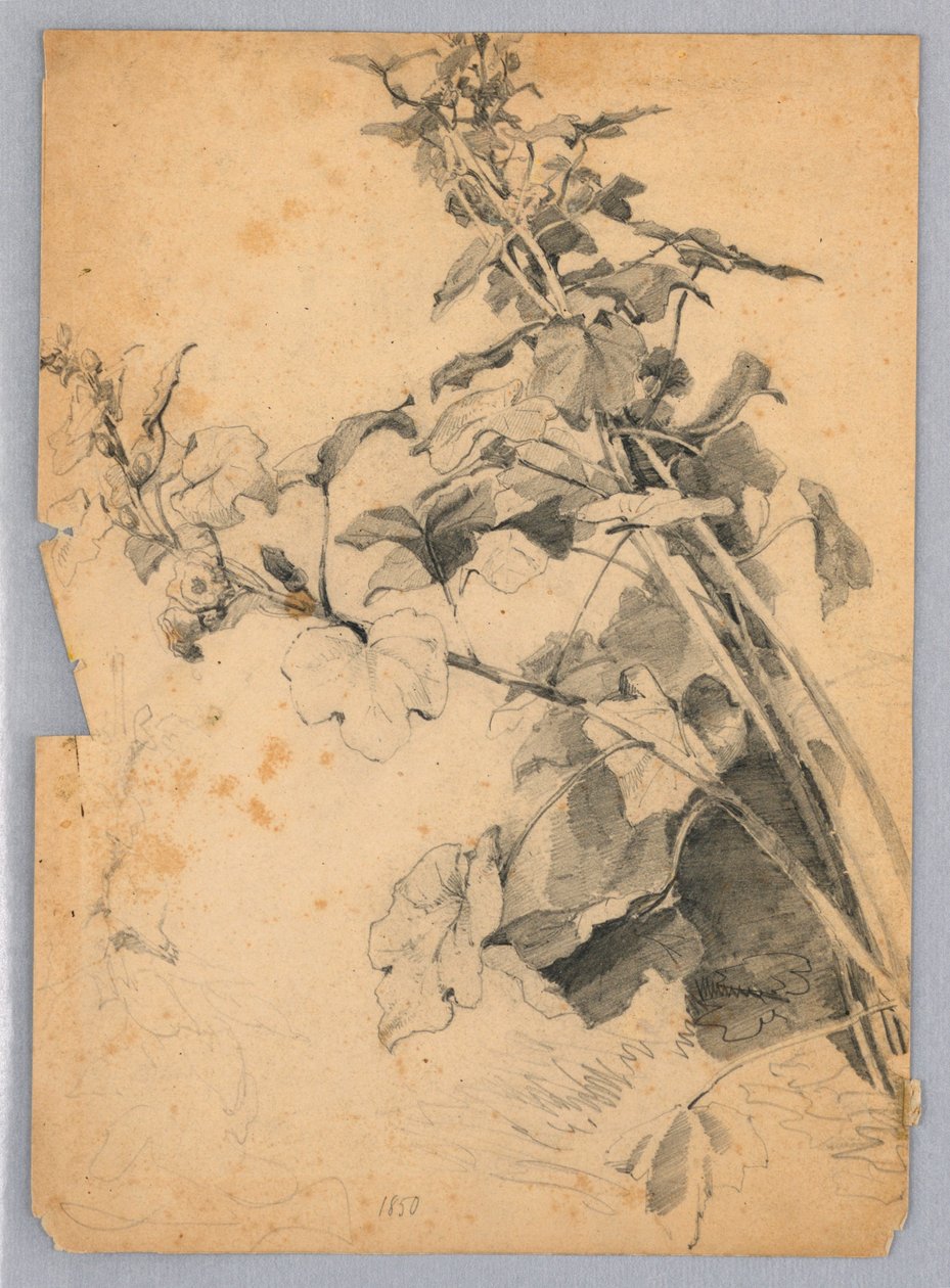 Studio di fogliame da William Trost Richards