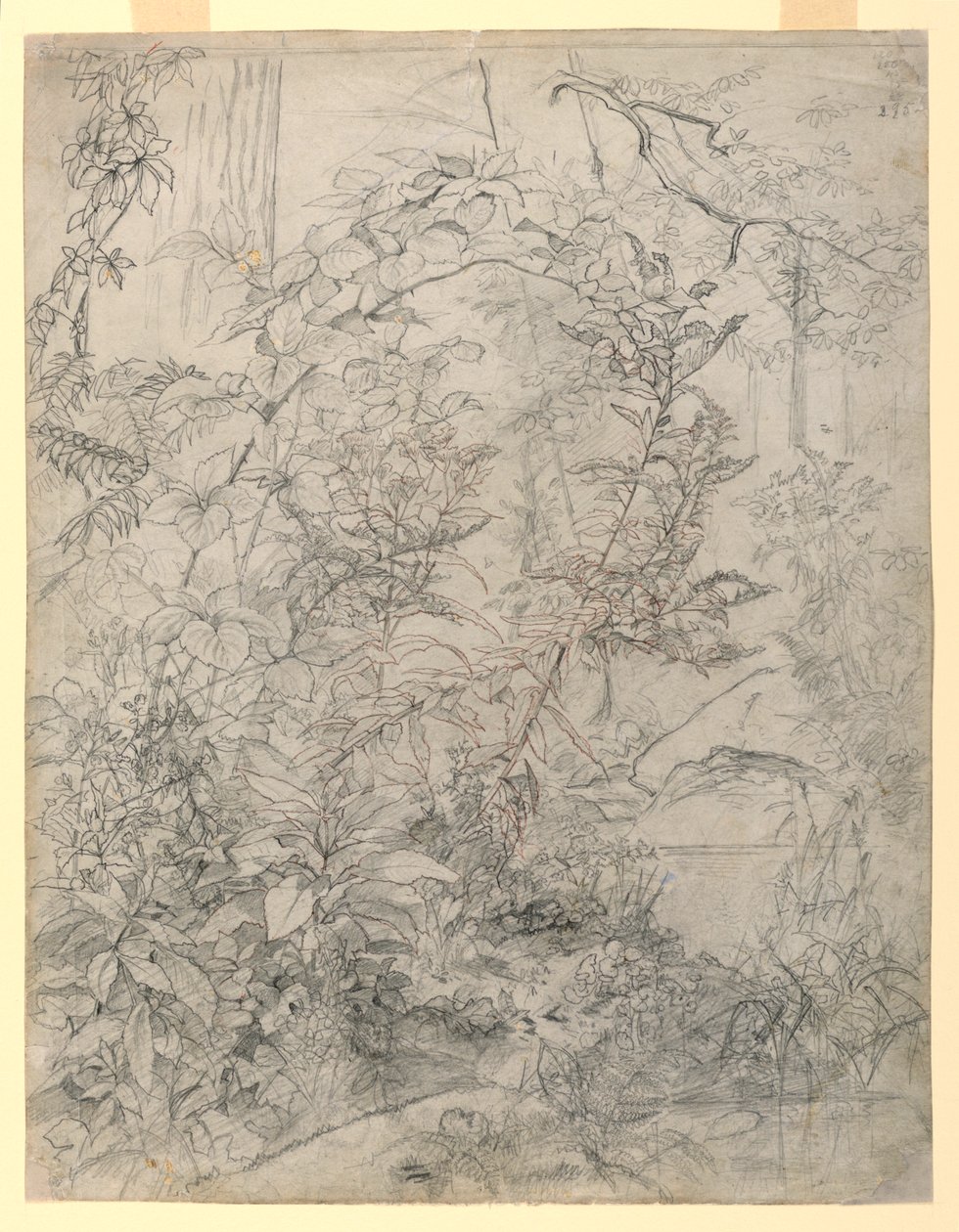 Studio di Foliage da William Trost Richards