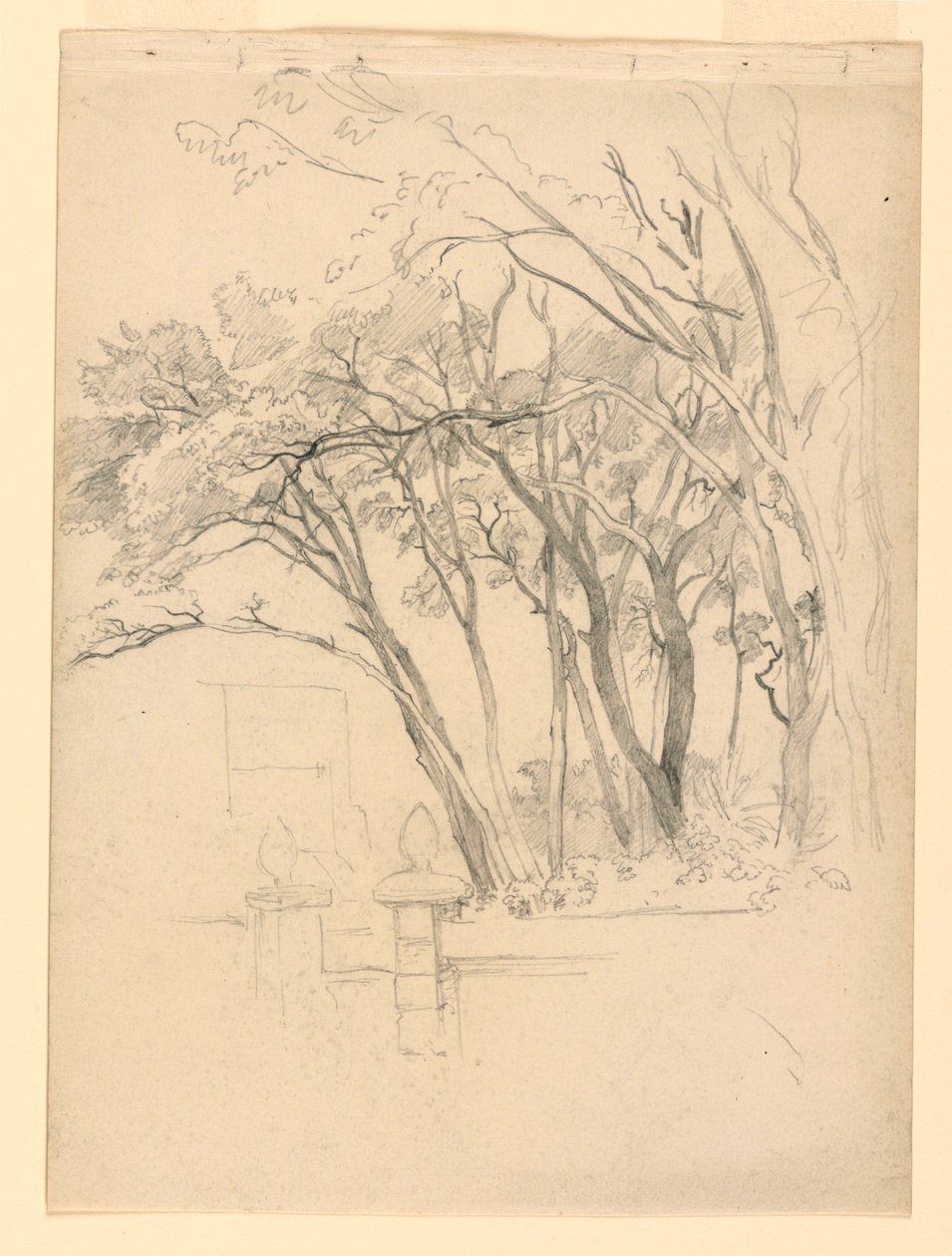 Studio di fogliame da William Trost Richards