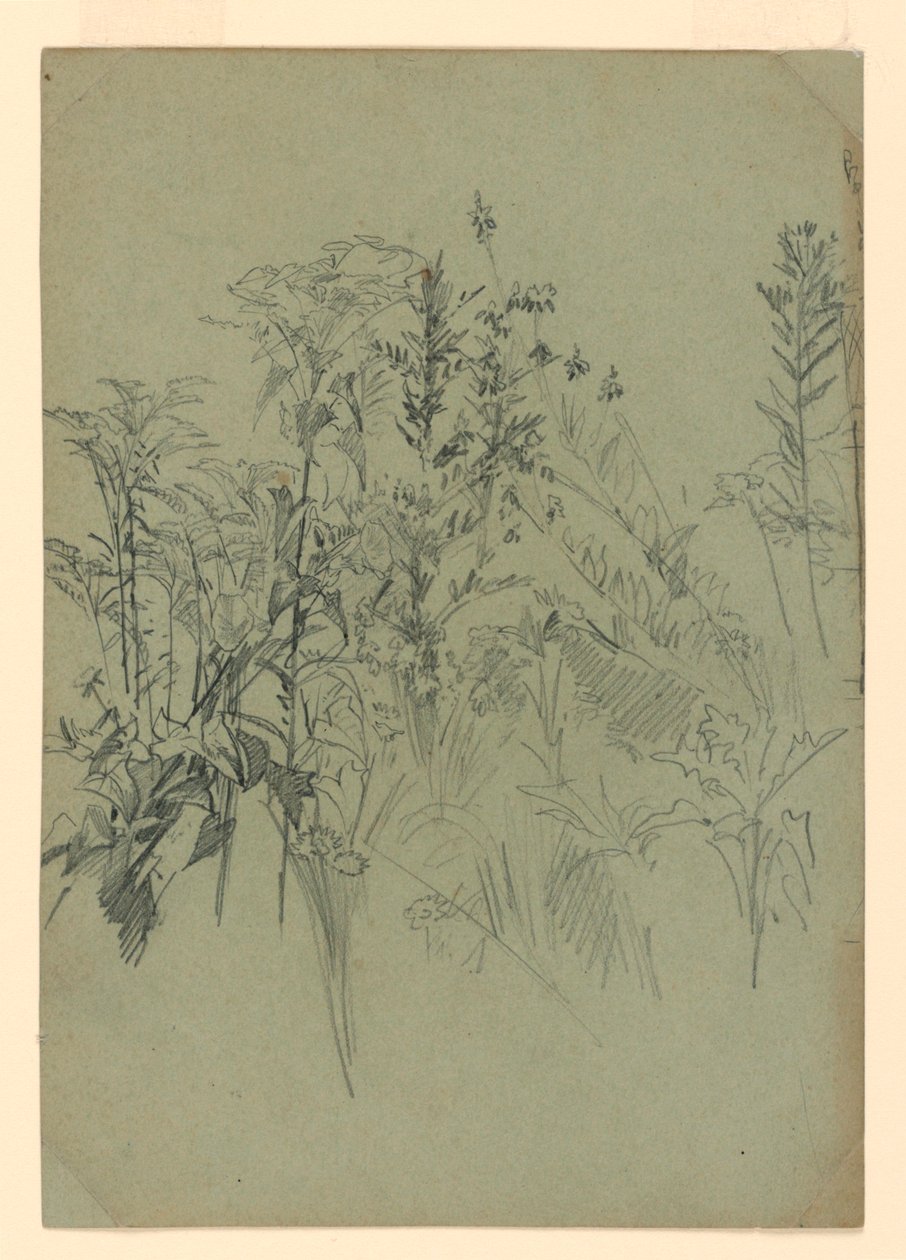Studio di fogliame da William Trost Richards
