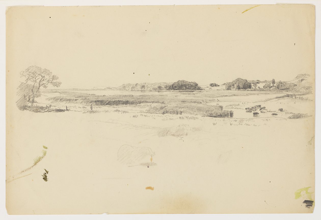 Studio della costa, Rhode Island da William Trost Richards