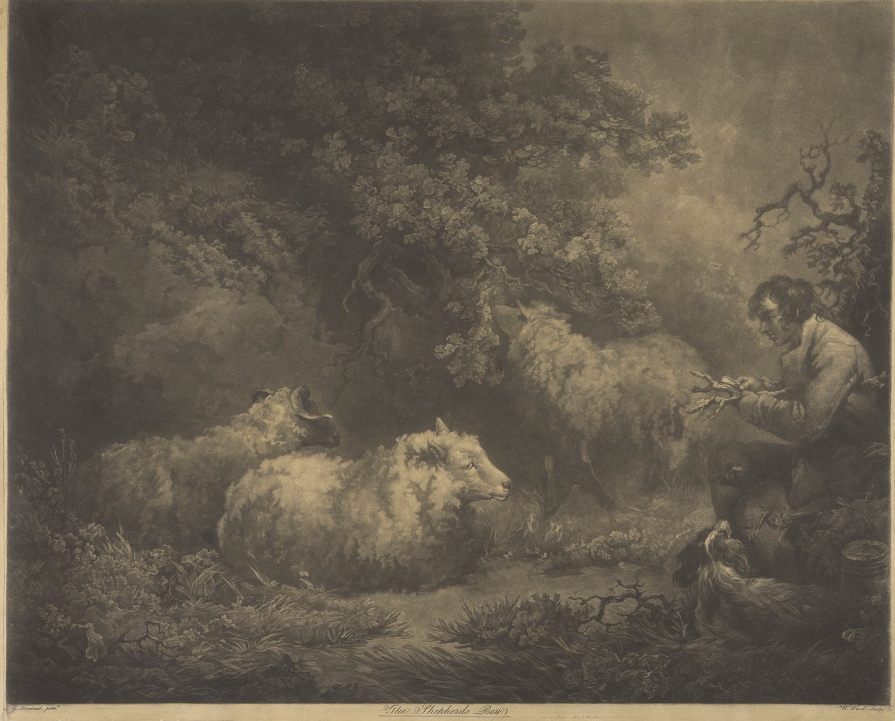 Il Pastorello da William Ward